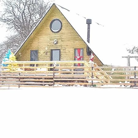 Wooden Cottage "Green House" In Bakuriani Exterior photo