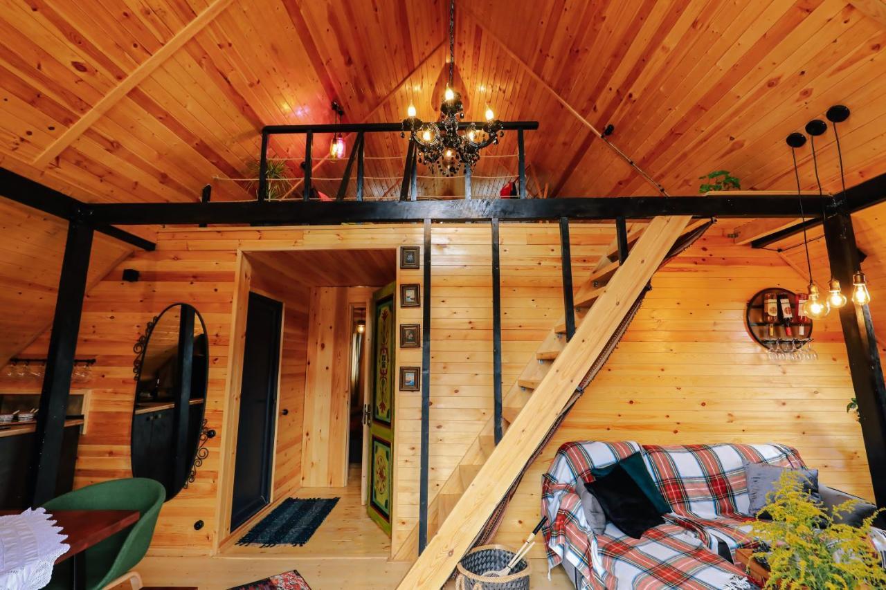 Wooden Cottage "Green House" In Bakuriani Exterior photo