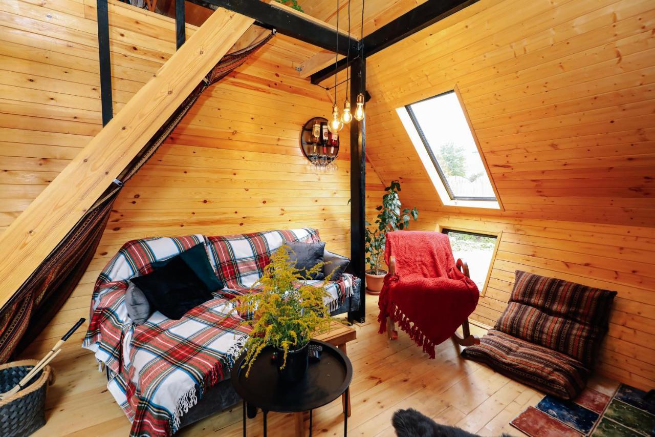 Wooden Cottage "Green House" In Bakuriani Exterior photo