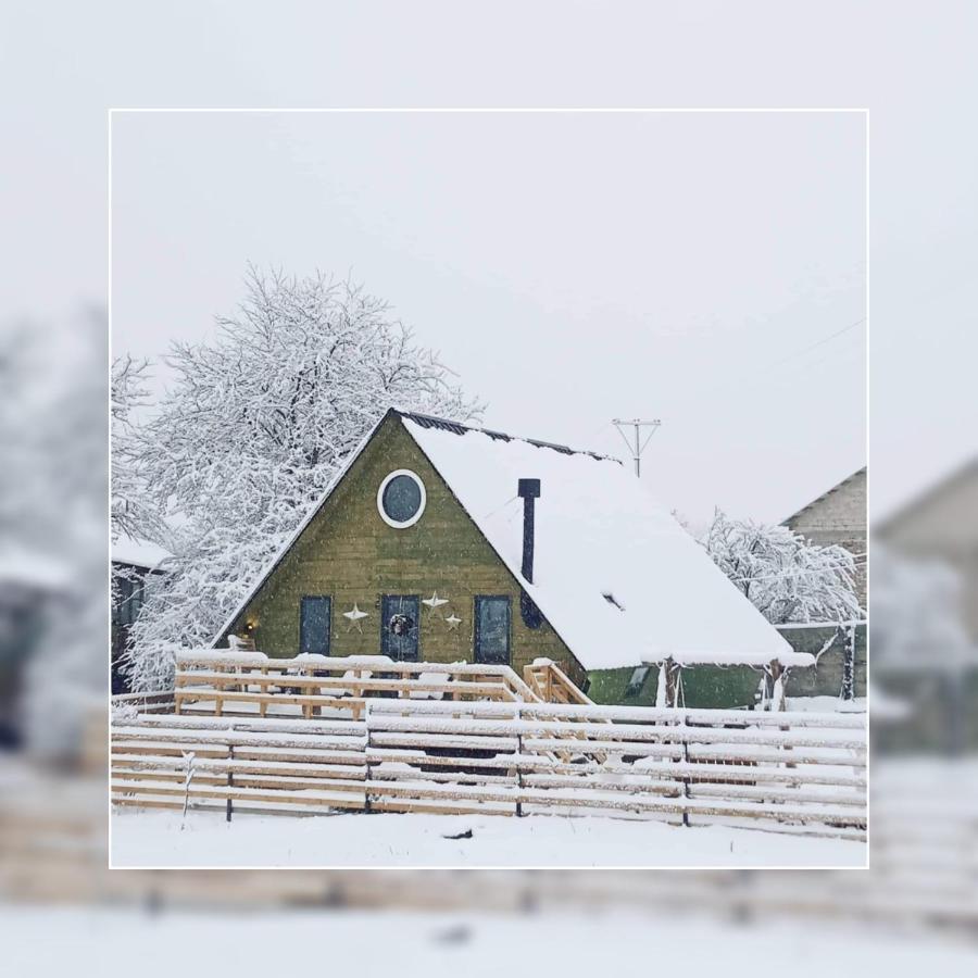 Wooden Cottage "Green House" In Bakuriani Exterior photo