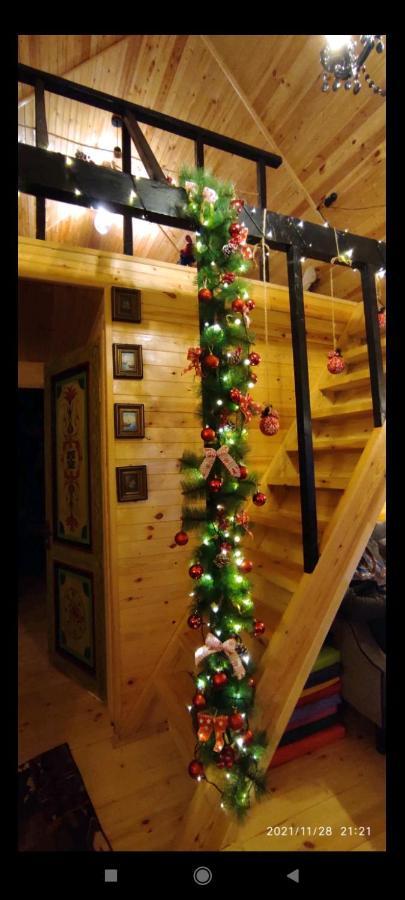 Wooden Cottage "Green House" In Bakuriani Exterior photo